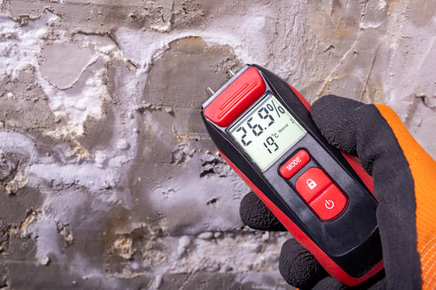 Best HVAC Mold Remediation in Mascoutah, IL
