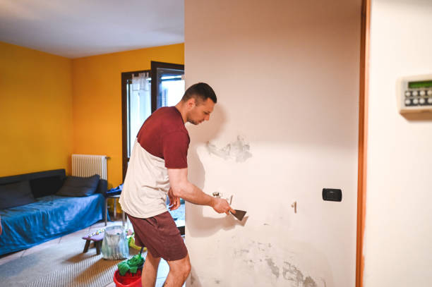 Best DIY Mold Remediation Support Services in Mascoutah, IL