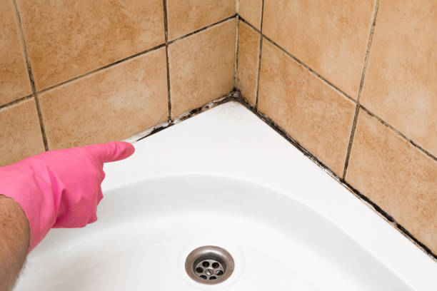 Mascoutah, IL Mold Remediation Company